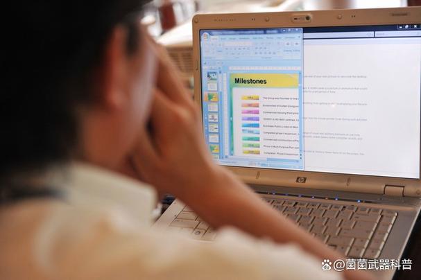 2025年度資訊:大理州強制隔離戒毒所機關信息系統(tǒng)維護服務項目